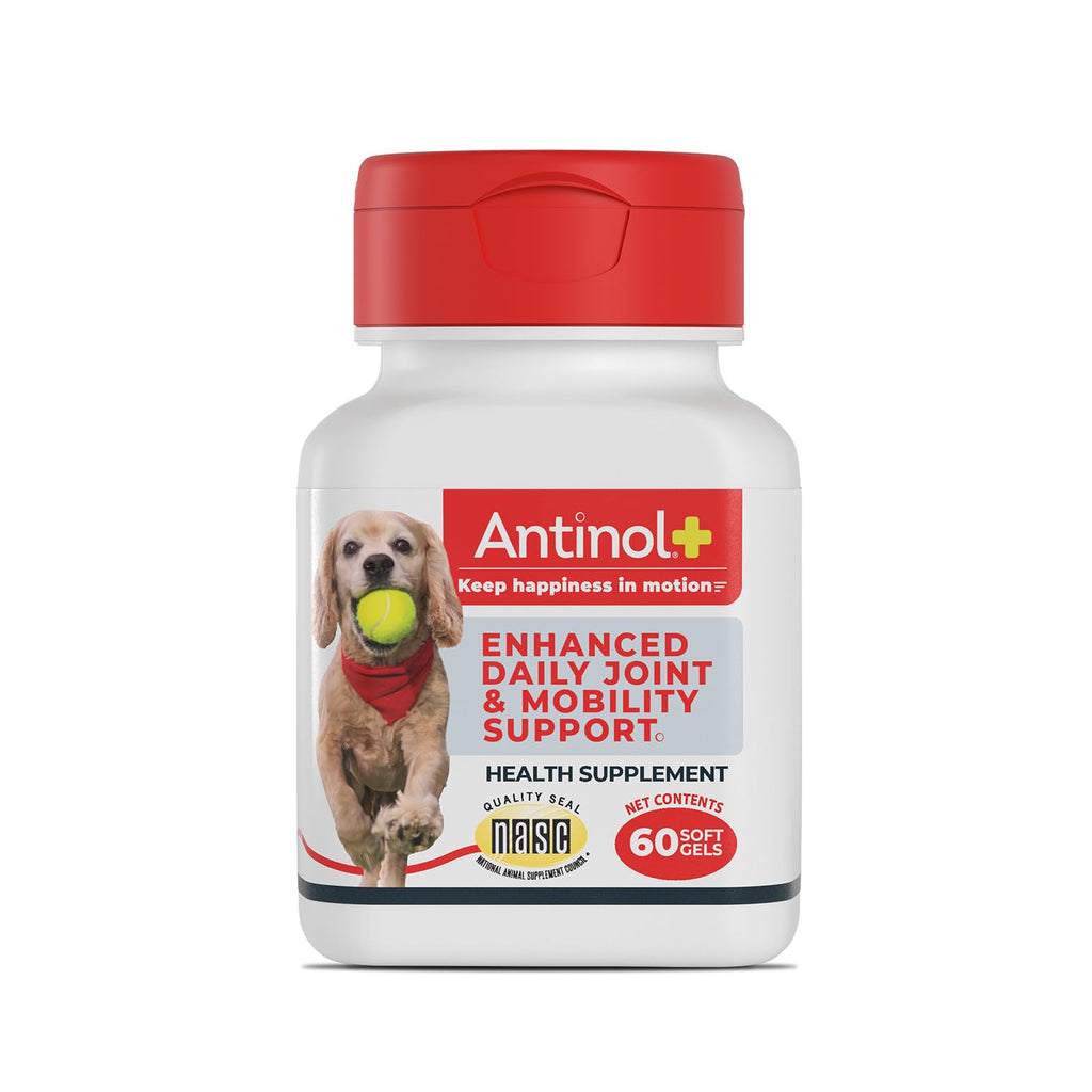 Hip & Joint Supplement for Dogs, 60 Soft Gels T57995