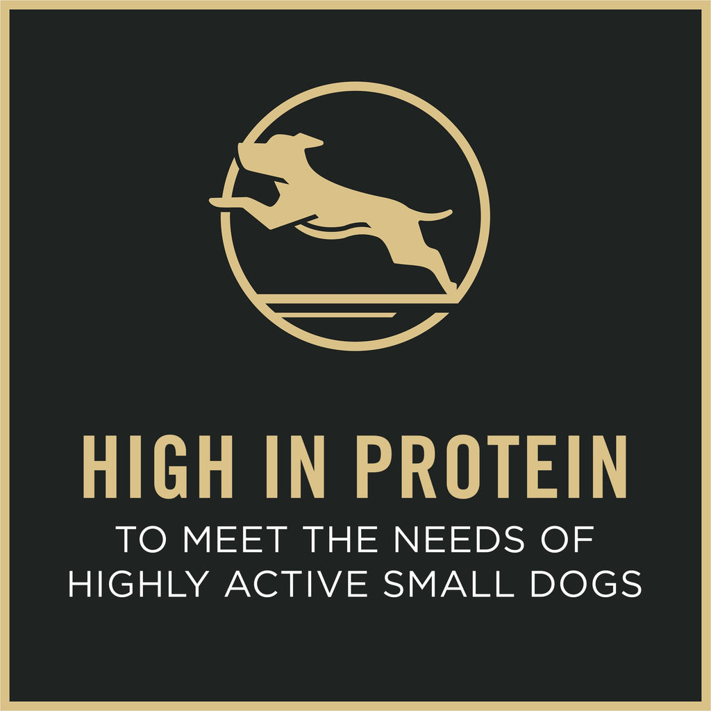 Small Breed Dry Dog Food 6 lb Bag M645183