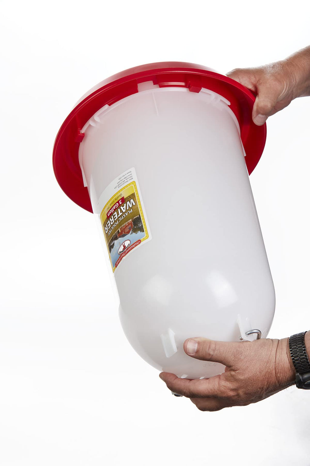 3 Gallon Plastic Poultry Waterer with Handle N979283
