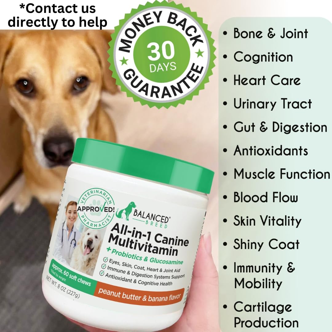 Dog Multivitamin Soft Chew Glucosamine P72349
