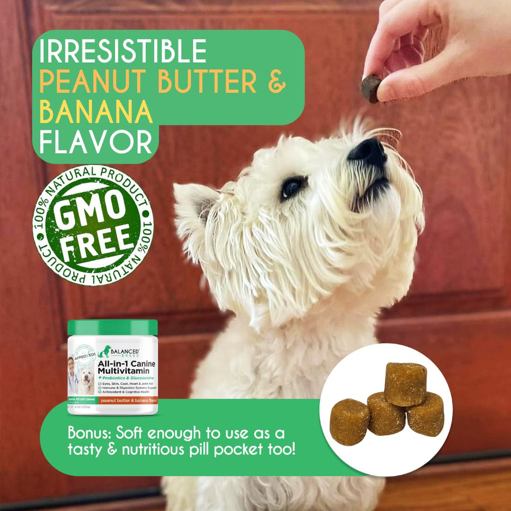 Dog Multivitamin Soft Chew Glucosamine P72349