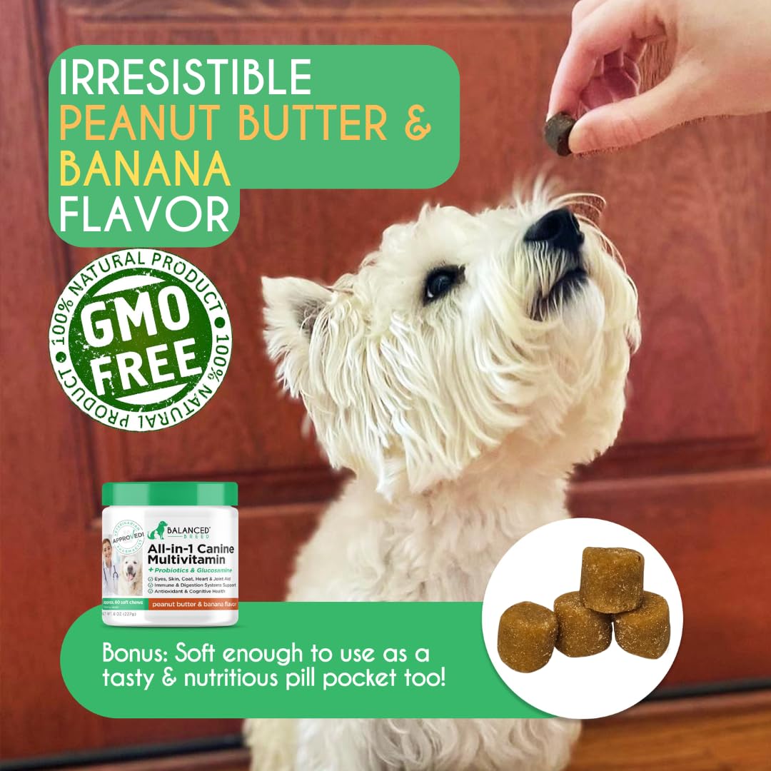 Dog Multivitamin Soft Chew Glucosamine P72349
