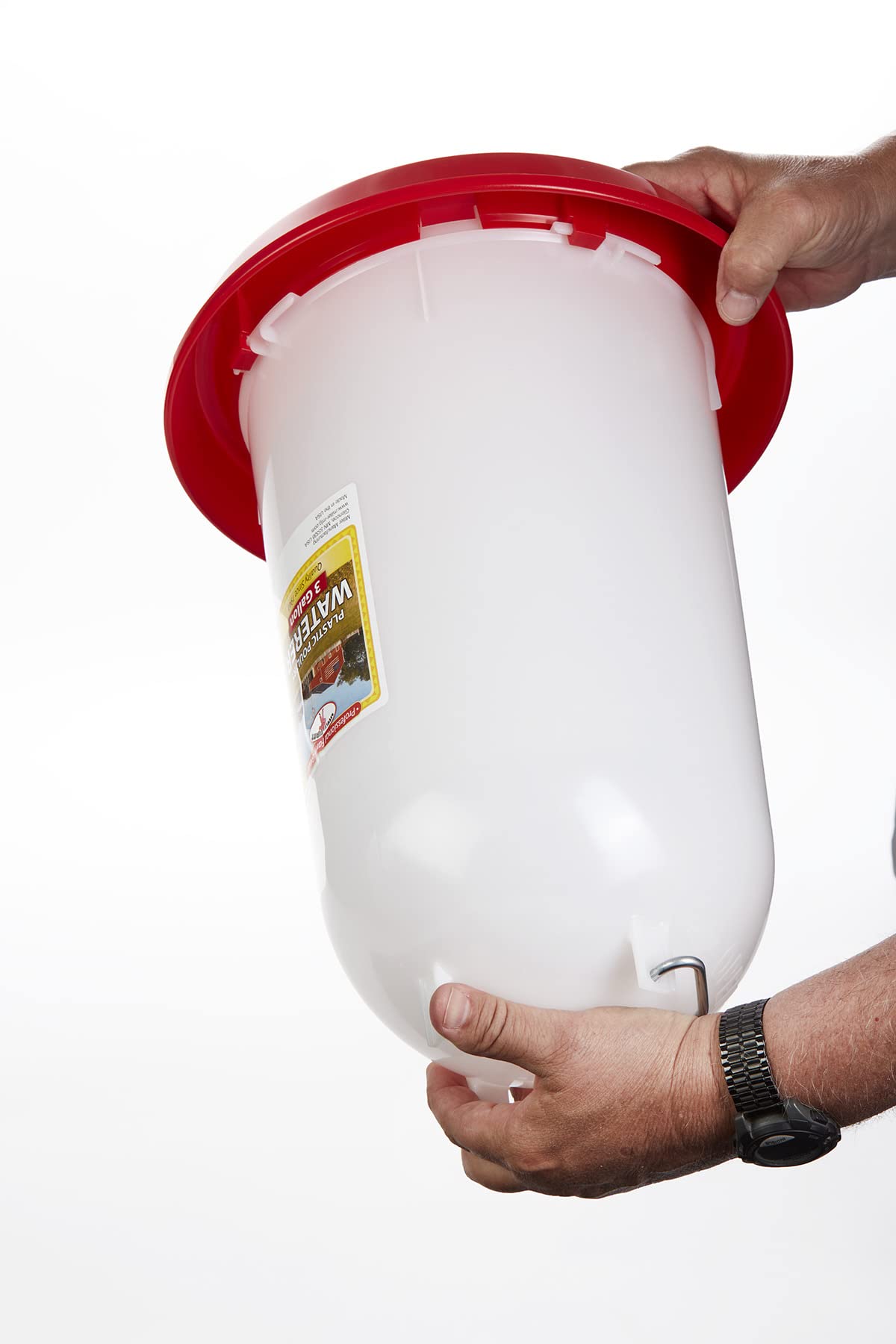 3 Gallon Plastic Poultry Waterer with Handle N979283