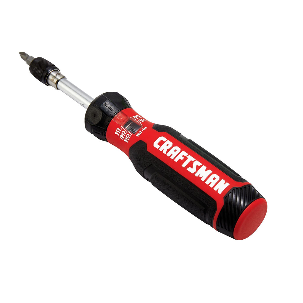 29 Piece Torque Screwdriver Set with Storage D254