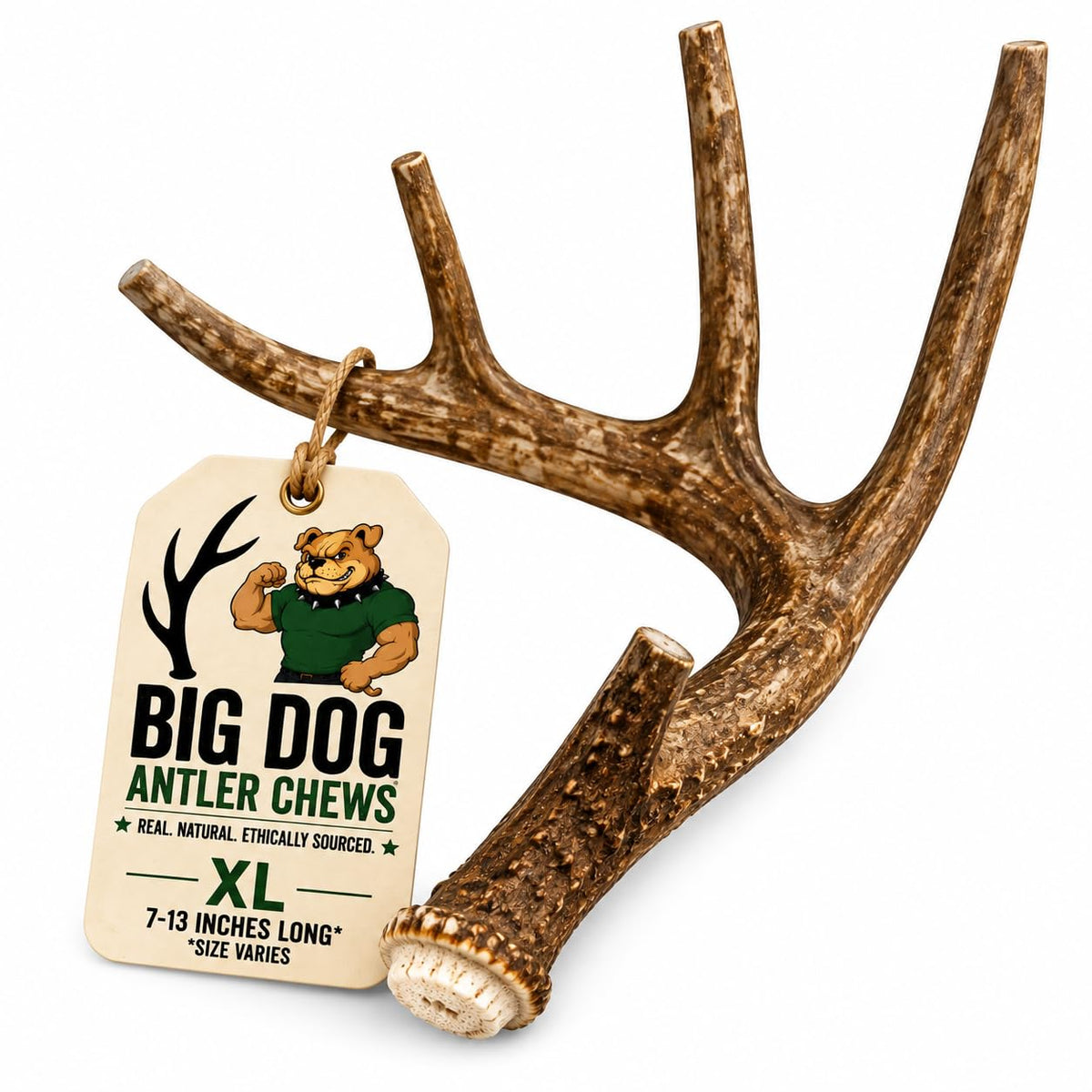 XL Deer Antler Dog Chew N6167