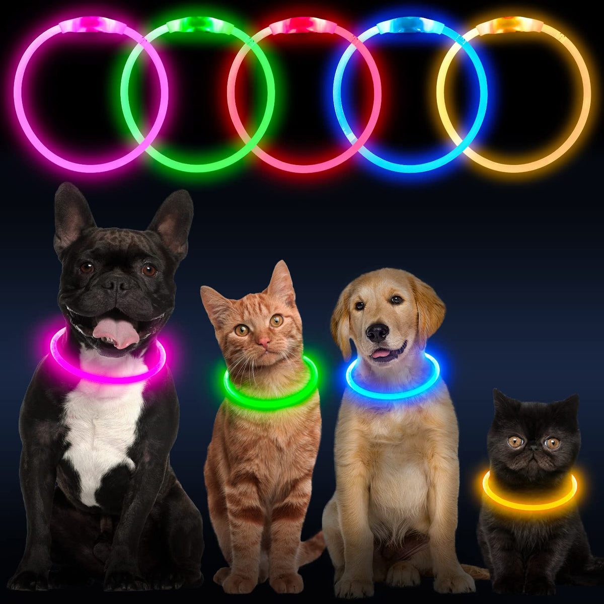 LED Dog Collar USB Rechargeable Green K46175