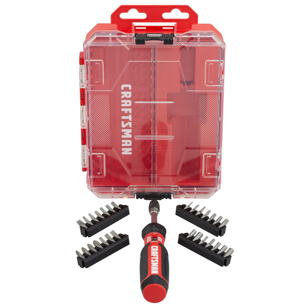 29 Piece Torque Screwdriver Set with Storage D254