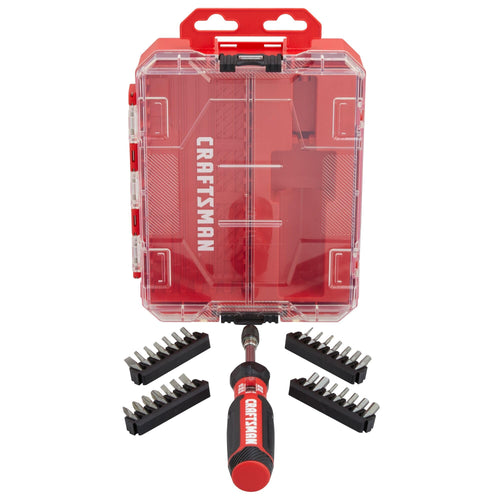 29 Piece Torque Screwdriver Set with Storage D254