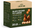 Dried Black Soldier Fly Larvae Chicken Treat H5606
