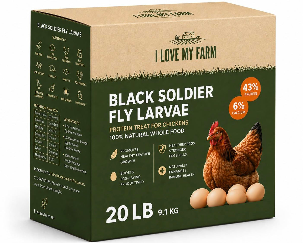 Dried Black Soldier Fly Larvae Chicken Treat H5606