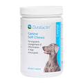 Duralactin Canine Soft Chews 60 Count E49326