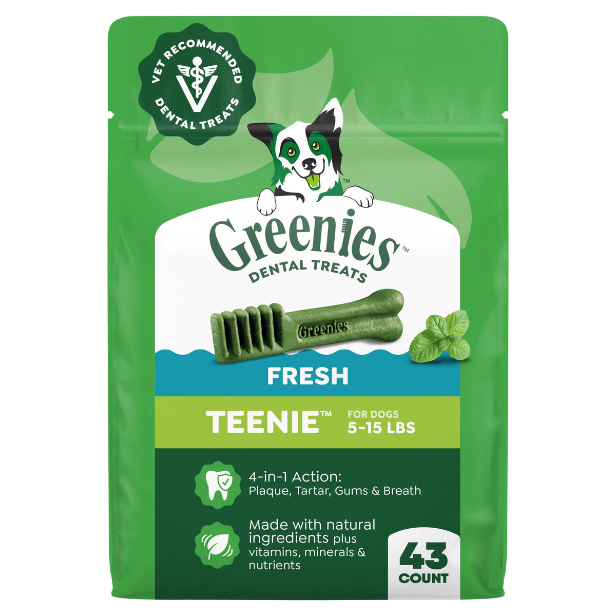 Fresh Mint Dental Dog Treats 43 Count Y457170