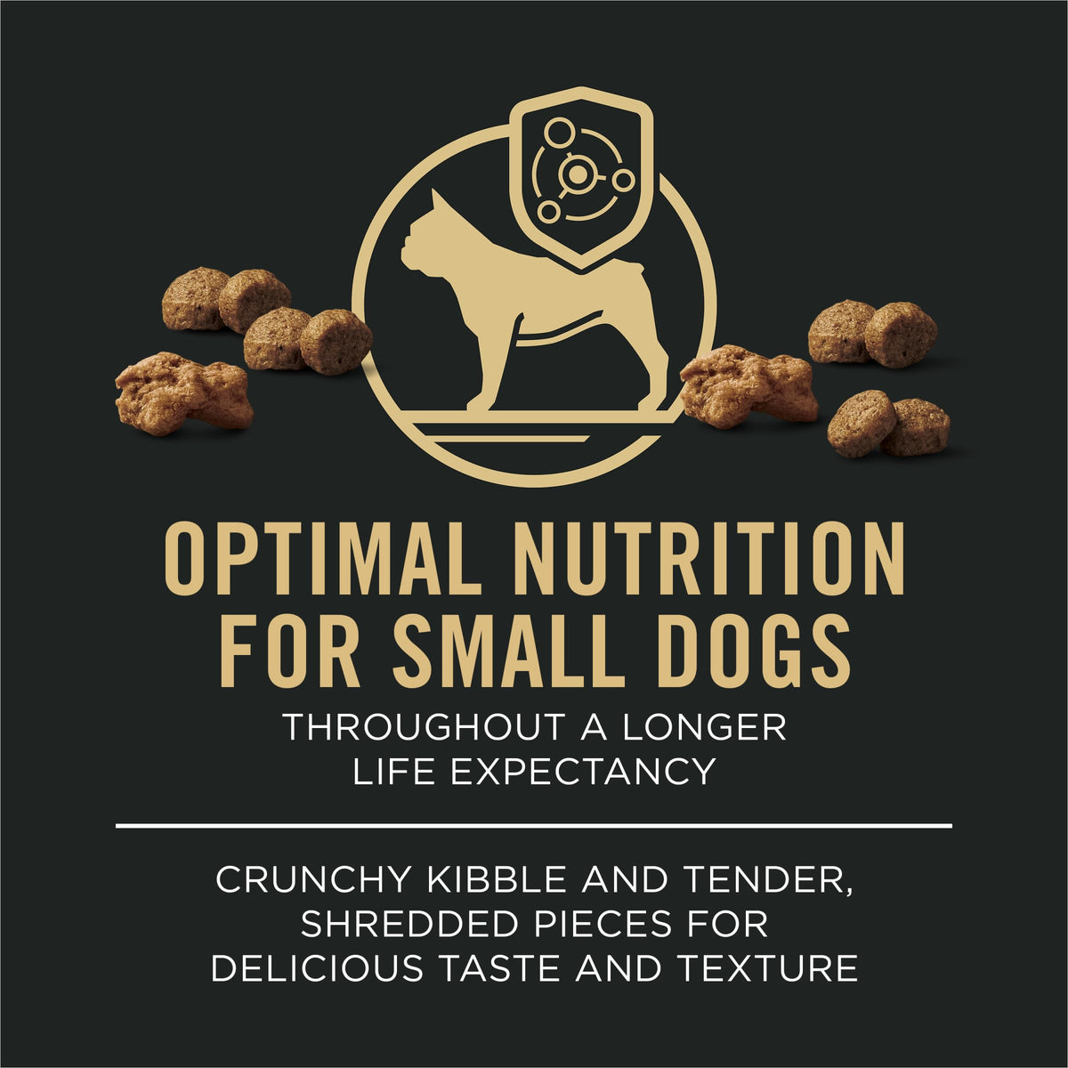 Small Breed Dry Dog Food 6 lb Bag M645183