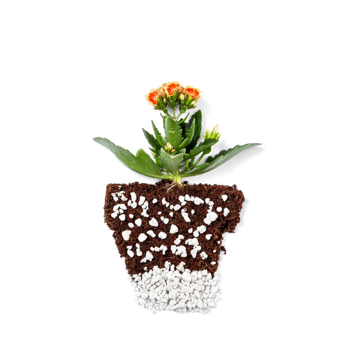 4 Cubic Ft Organic Perlite Soil Amendment N115302