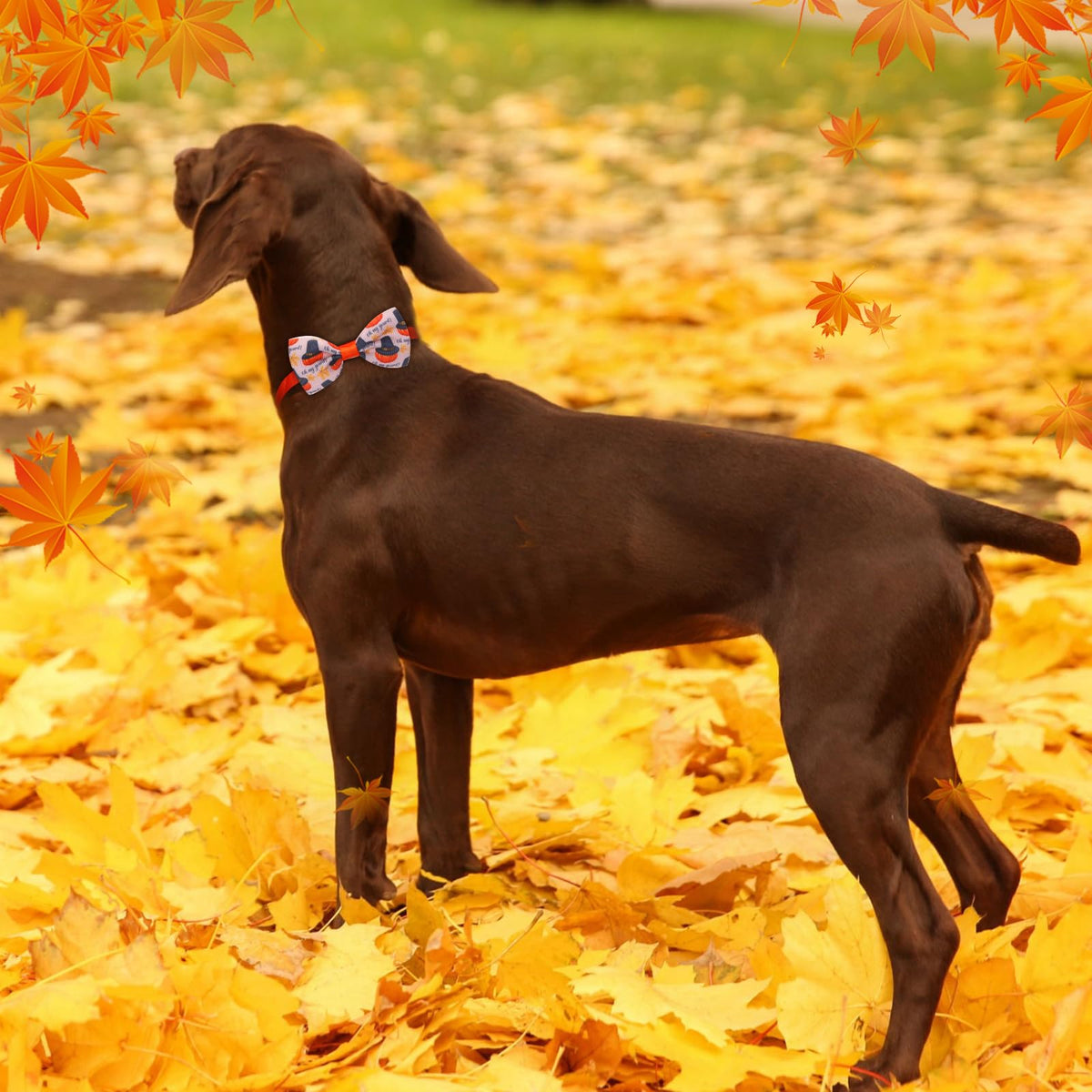 100 Pcs Adjustable Dog Bow Ties P847782