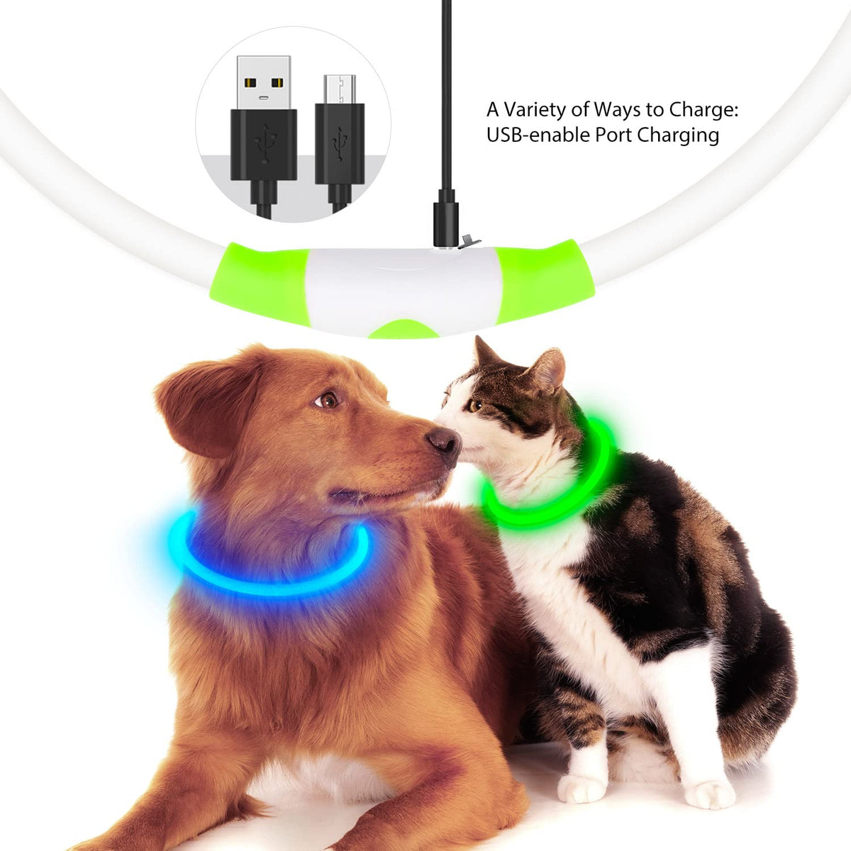 LED Dog Collar USB Rechargeable Green K46175