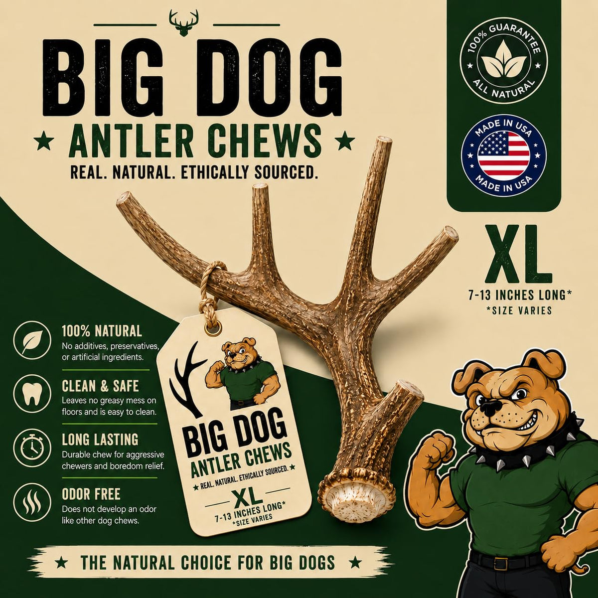 XL Deer Antler Dog Chew N6167