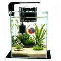 2 Gallon Betta Fish Tank with Filter and Light G941351