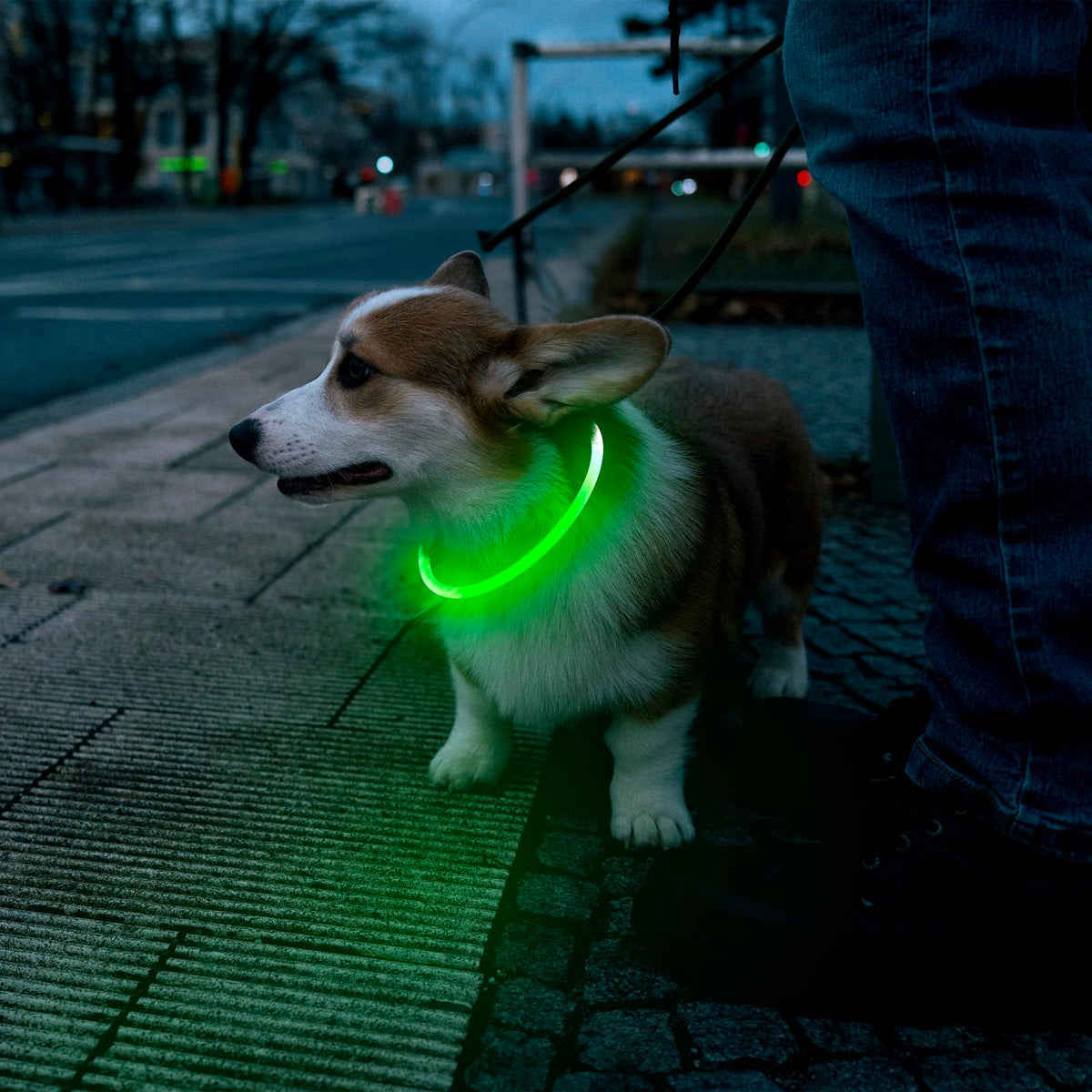 LED Dog Collar USB Rechargeable Green K46175
