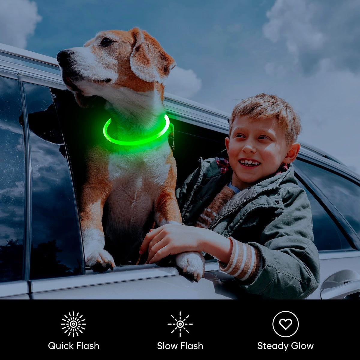 LED Dog Collar USB Rechargeable Green K46175