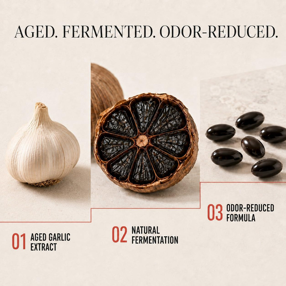 Aged Garlic Extract & Fermented Black Garlic Extract Softgels L154168