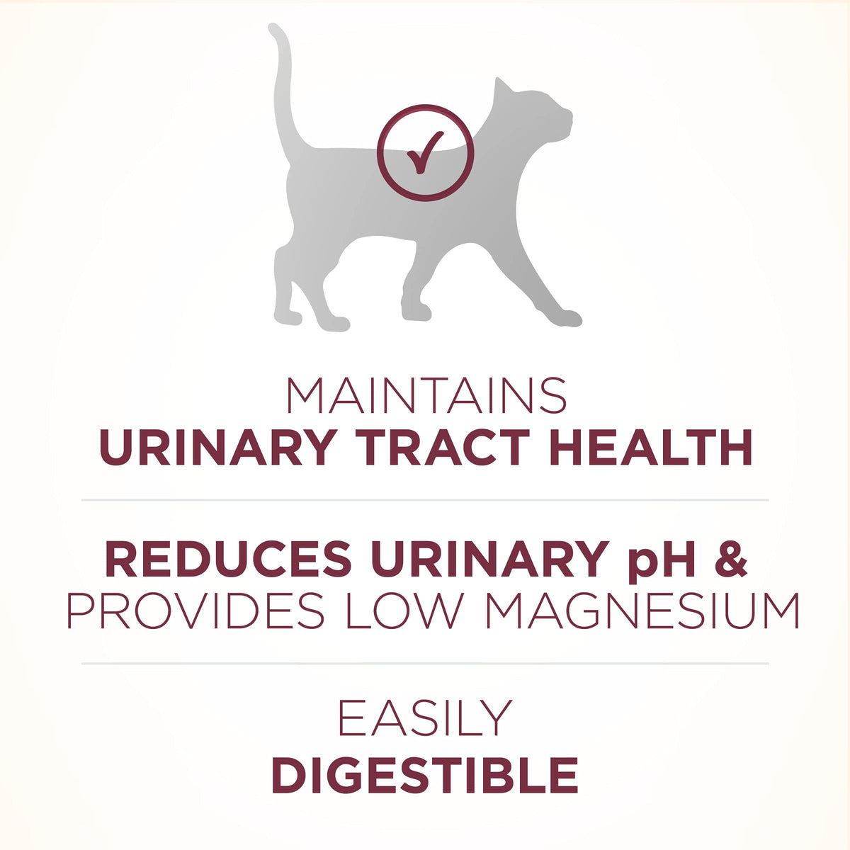 High Protein Urinary Tract Health Dry Cat Food 16 lb Bag B52000