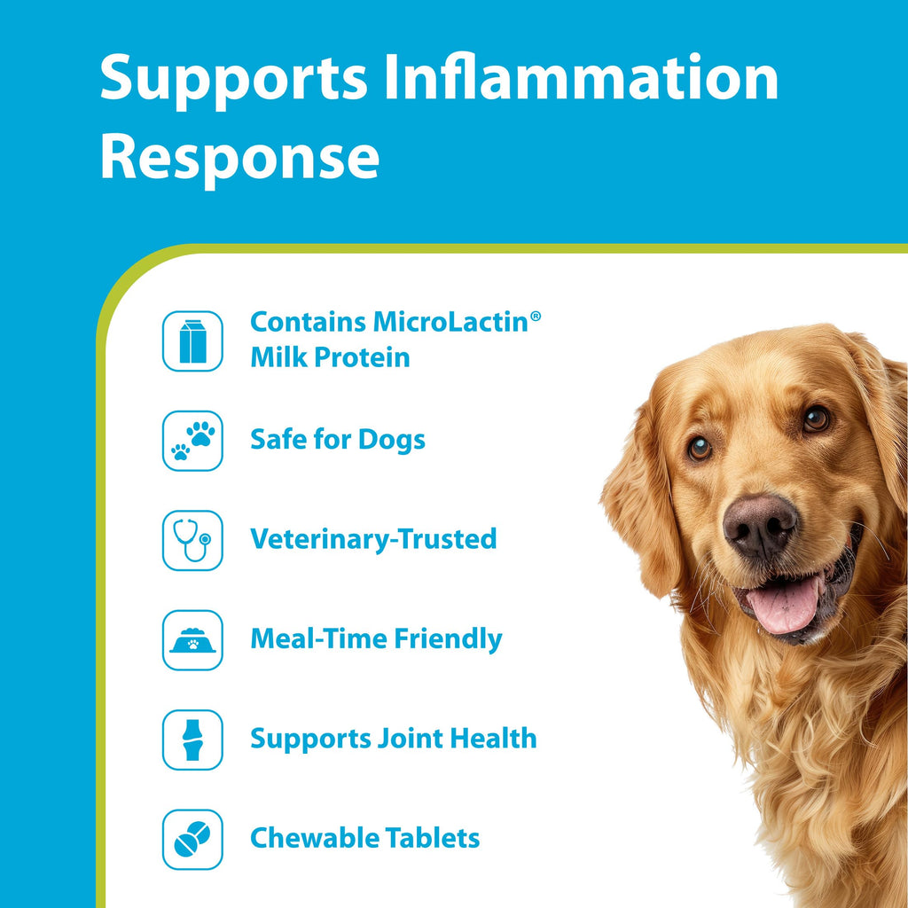 Duralactin Canine Soft Chews 60 Count E49326