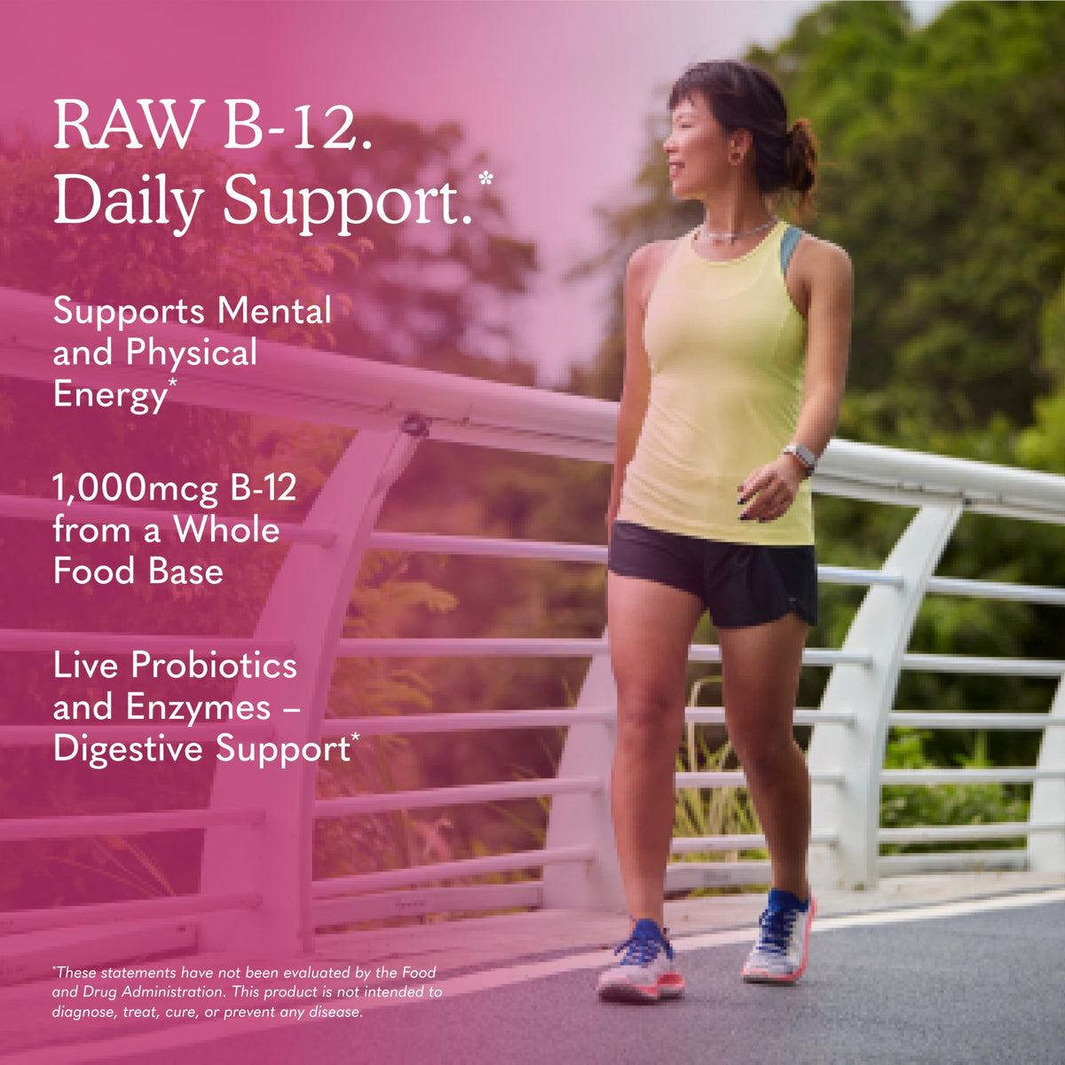 Vegan B-12 Methylcobalamin 30 Capsules D696