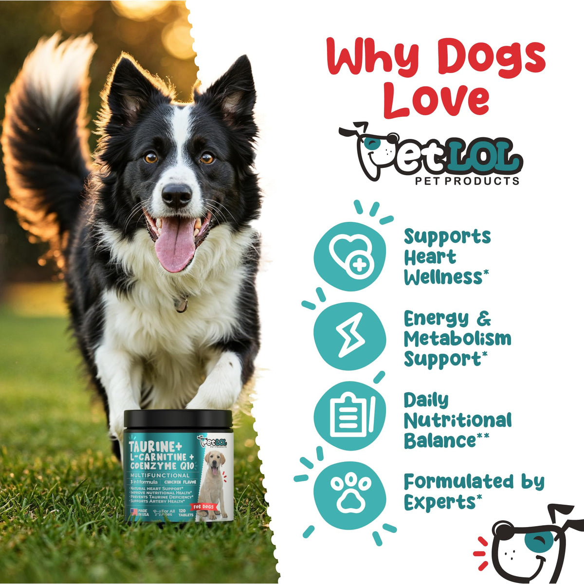 Taurine 500 mg for Dogs T1205