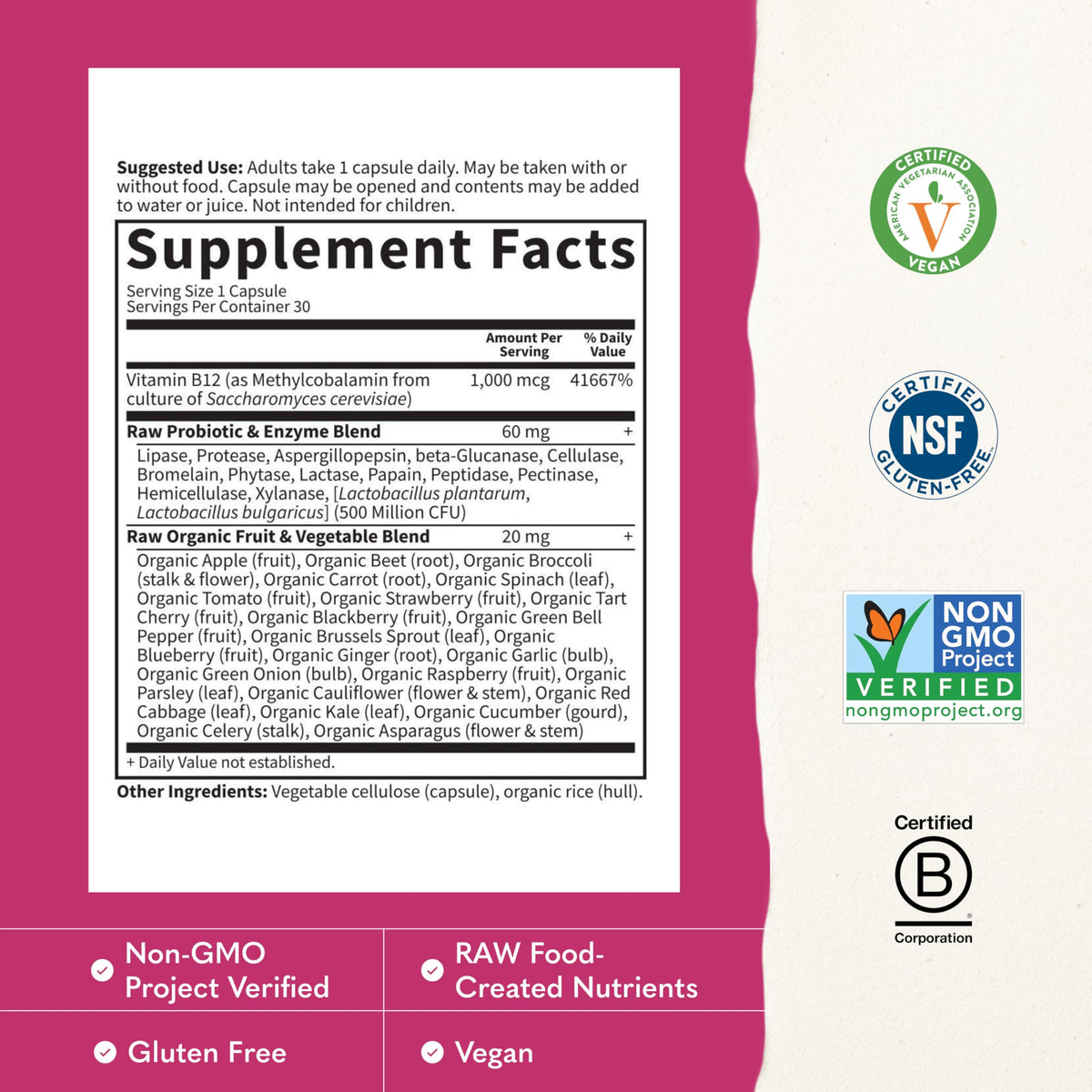 Vegan B-12 Methylcobalamin 30 Capsules D696
