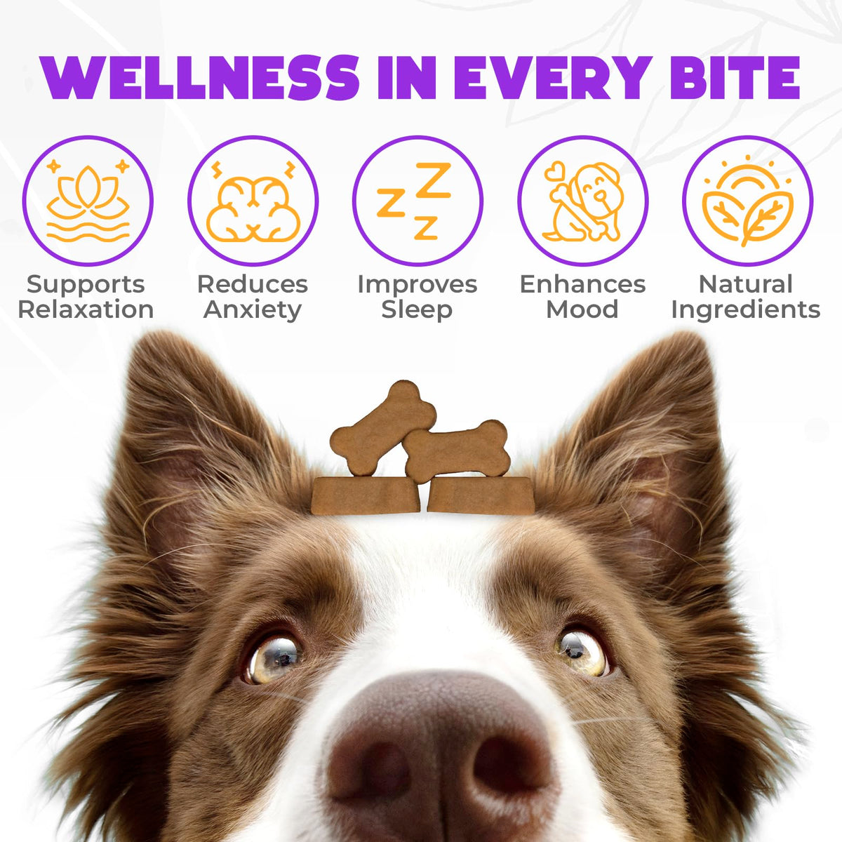 Chicken Flavor 60 Count Calming Chews for Dogs S94862