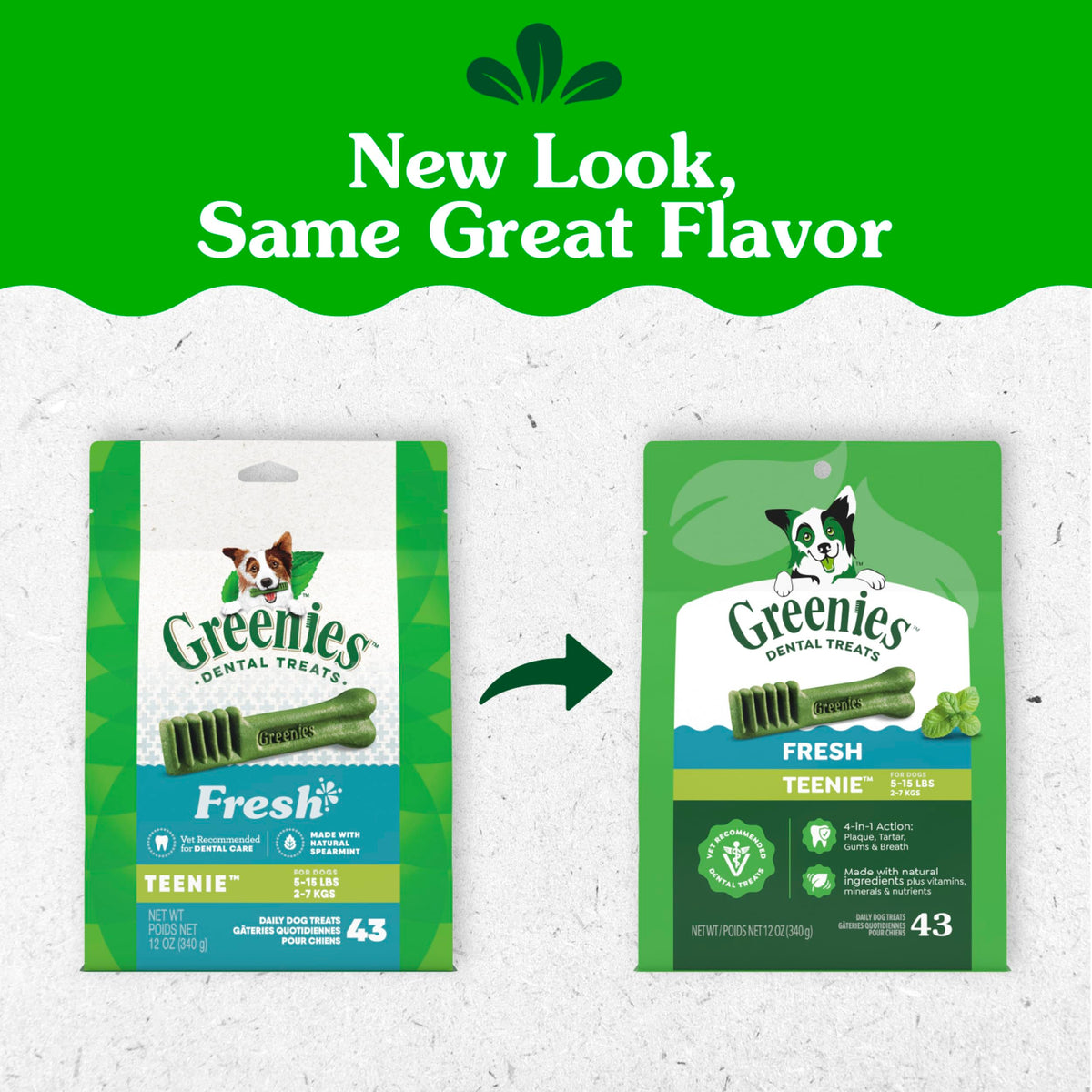 Fresh Mint Dental Dog Treats 43 Count Y457170