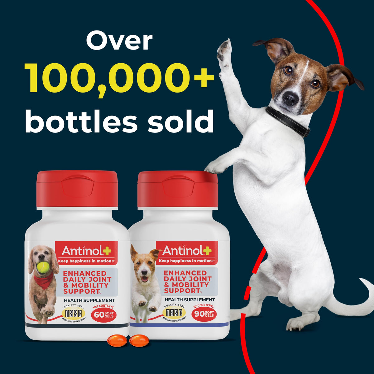 Hip & Joint Supplement for Dogs, 60 Soft Gels T57995