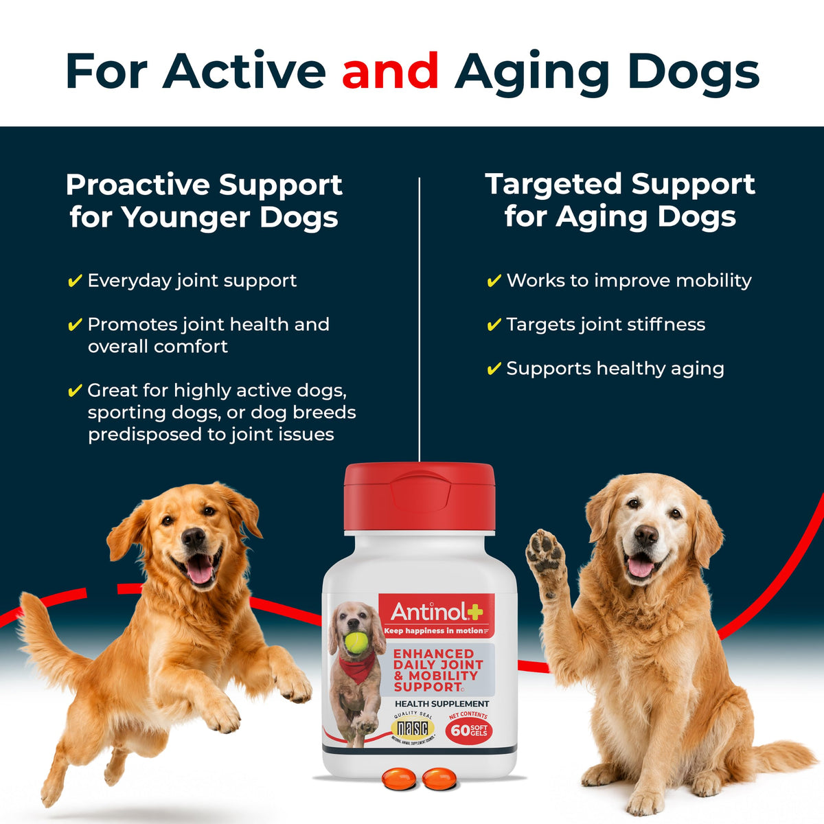 Hip & Joint Supplement for Dogs, 60 Soft Gels T57995