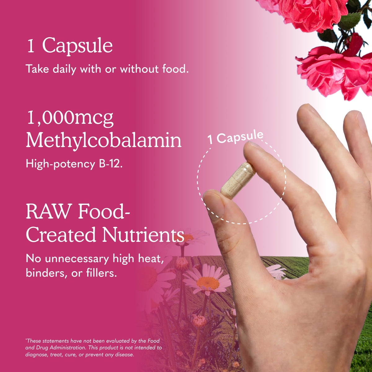 Vegan B-12 Methylcobalamin 30 Capsules D696
