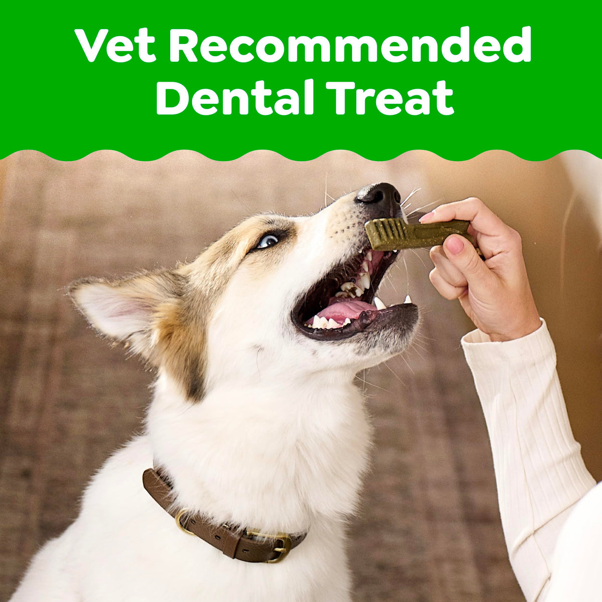 Fresh Mint Dental Dog Treats 43 Count Y457170