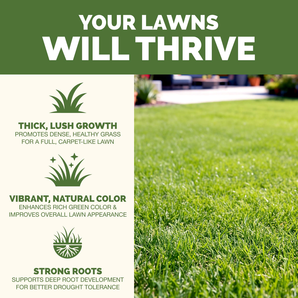 Liquid Lawn Fertilizer 1 Gallon K994