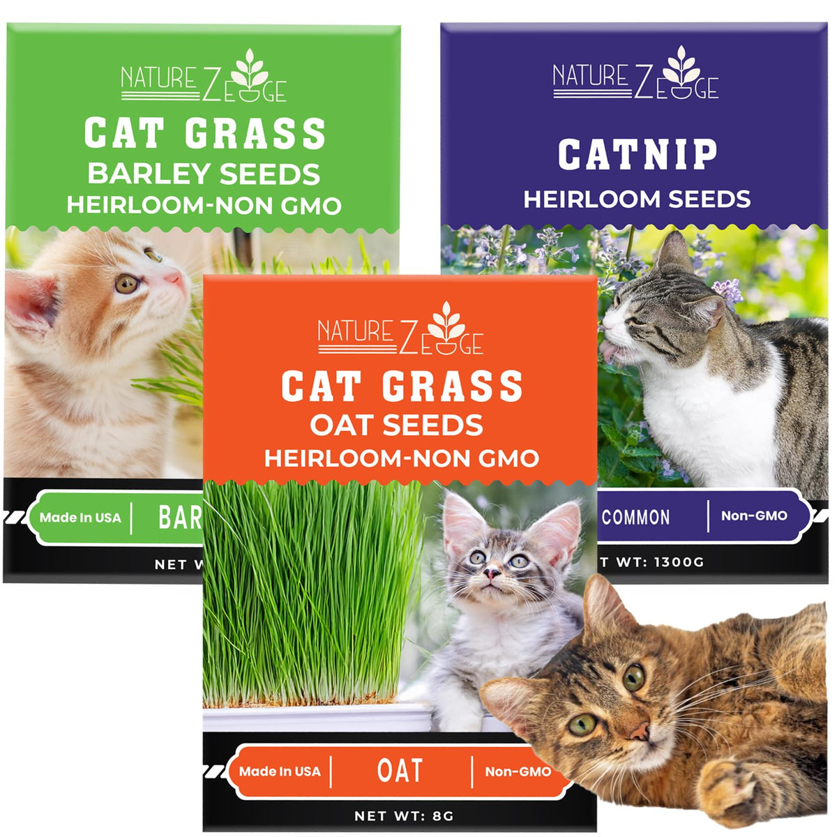 Cat Grass & Catnip Seeds 3 Pack Variety Kit Z99431