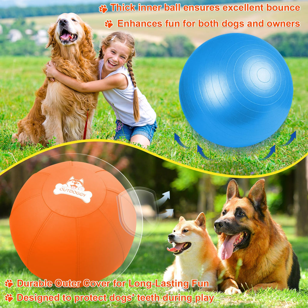 18'' Herding Ball for Dogs Z7739