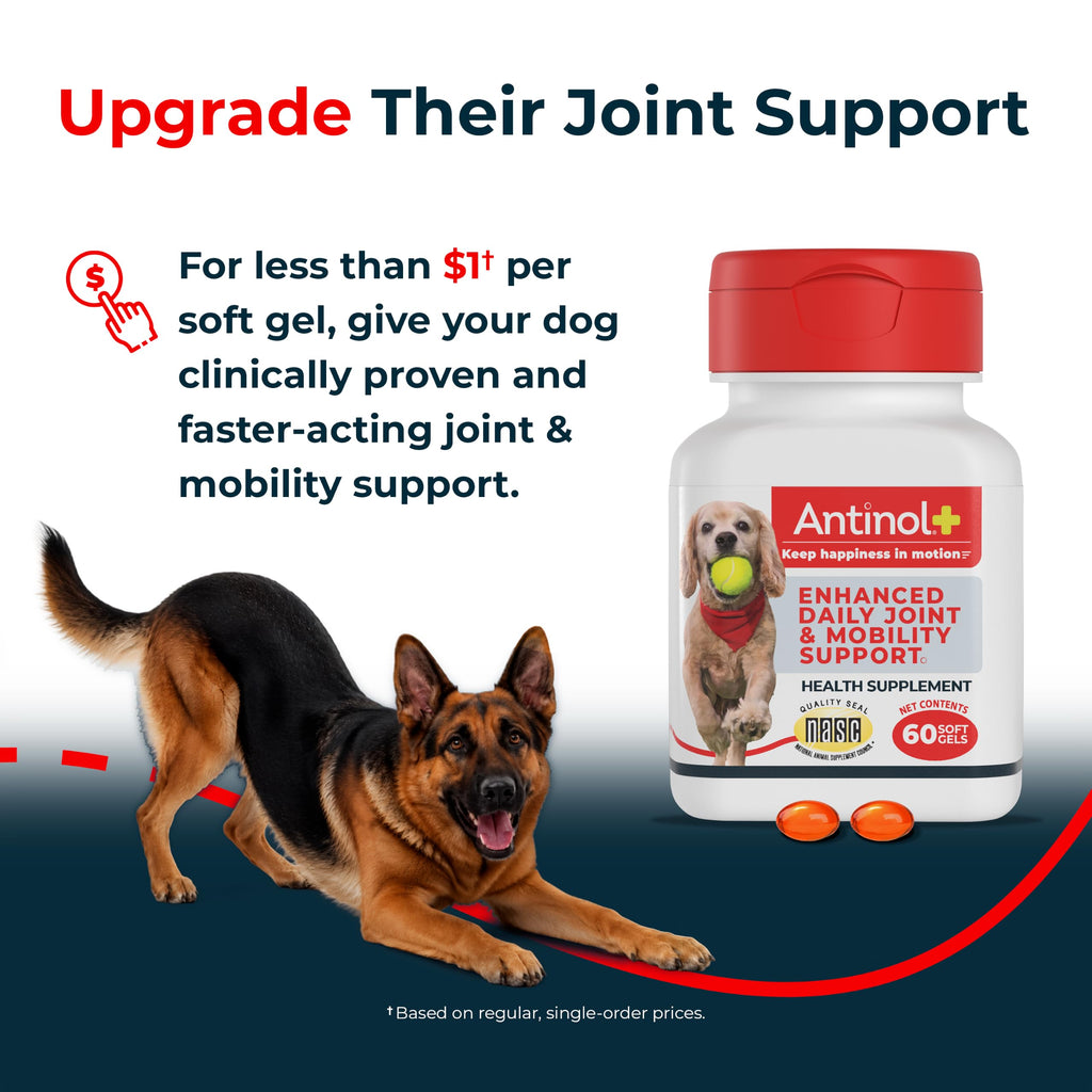 Hip & Joint Supplement for Dogs, 60 Soft Gels T57995