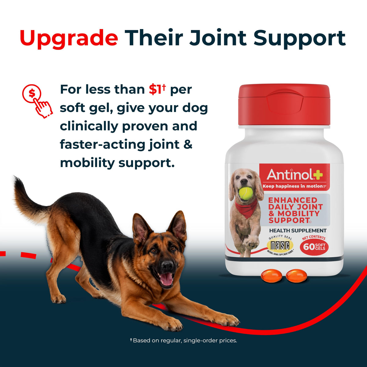 Hip & Joint Supplement for Dogs, 60 Soft Gels T57995