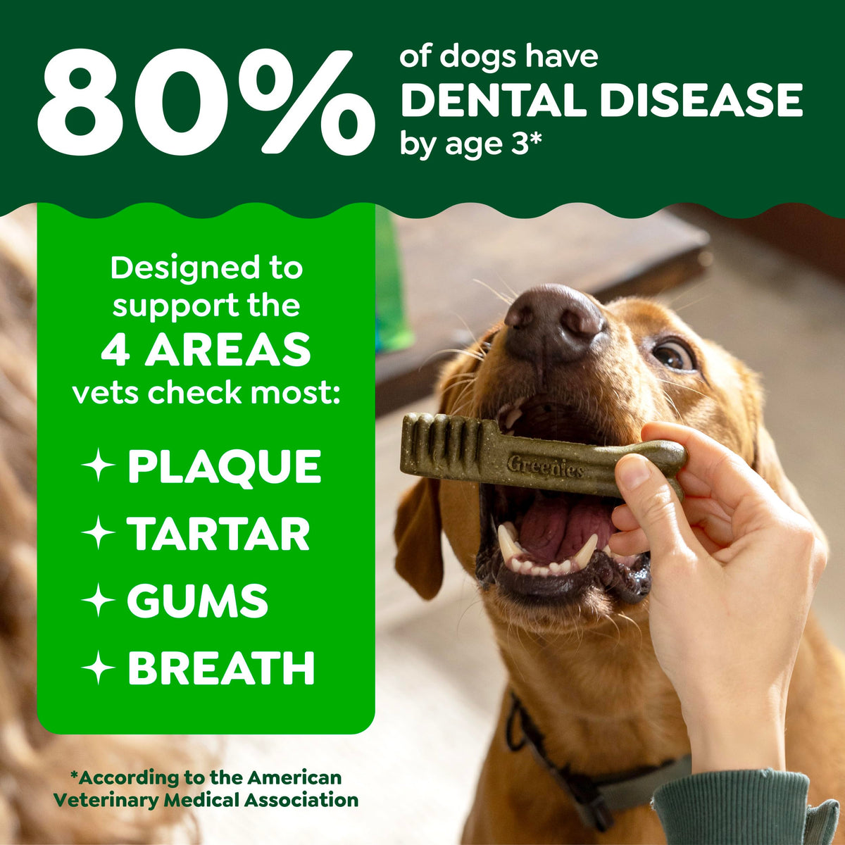 Fresh Mint Dental Dog Treats 43 Count Y457170