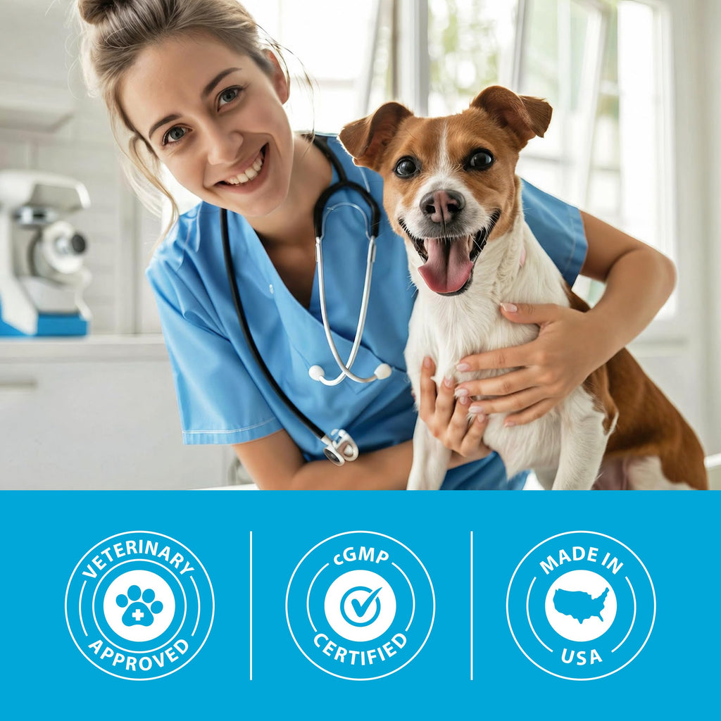 Duralactin Canine Soft Chews 60 Count E49326