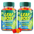 Hemp Gummies 2 Pack D869