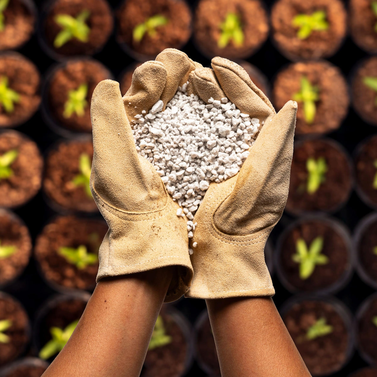4 Cubic Ft Organic Perlite Soil Amendment N115302