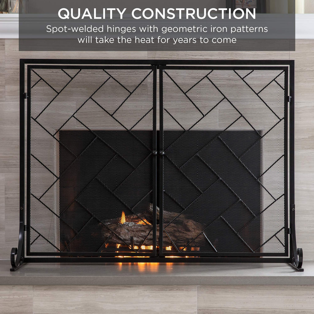 Black 2-Panel Wrought Iron Fireplace Screen P41204